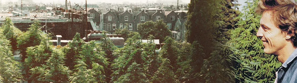 1970's Henk van Dalen's dream