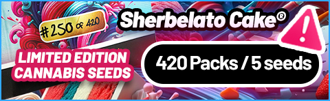 Sherbelato Cake limited Edition Cannabis Seeds (420 packs)