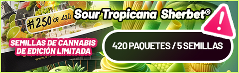 Sour Tropicana Sherbet limited edition cannabis seeds