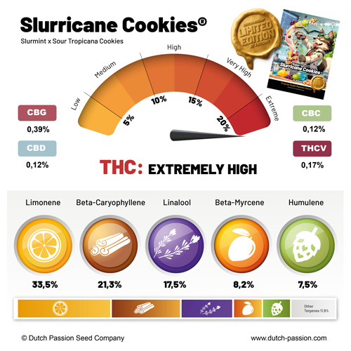 Slurricane Cookies