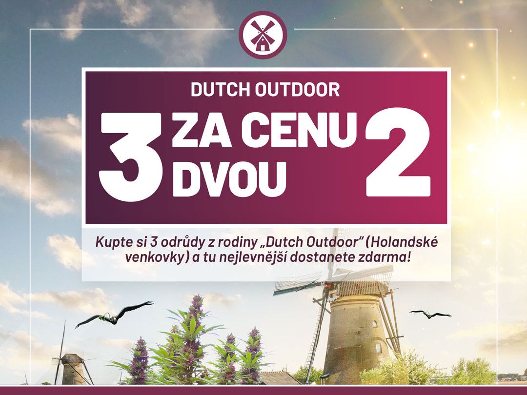 Kupte si 3 odrůdy z rodiny „Dutch Outdoor“ (Holandské venkovky) a tu nejlevnější dostanete zdarma!