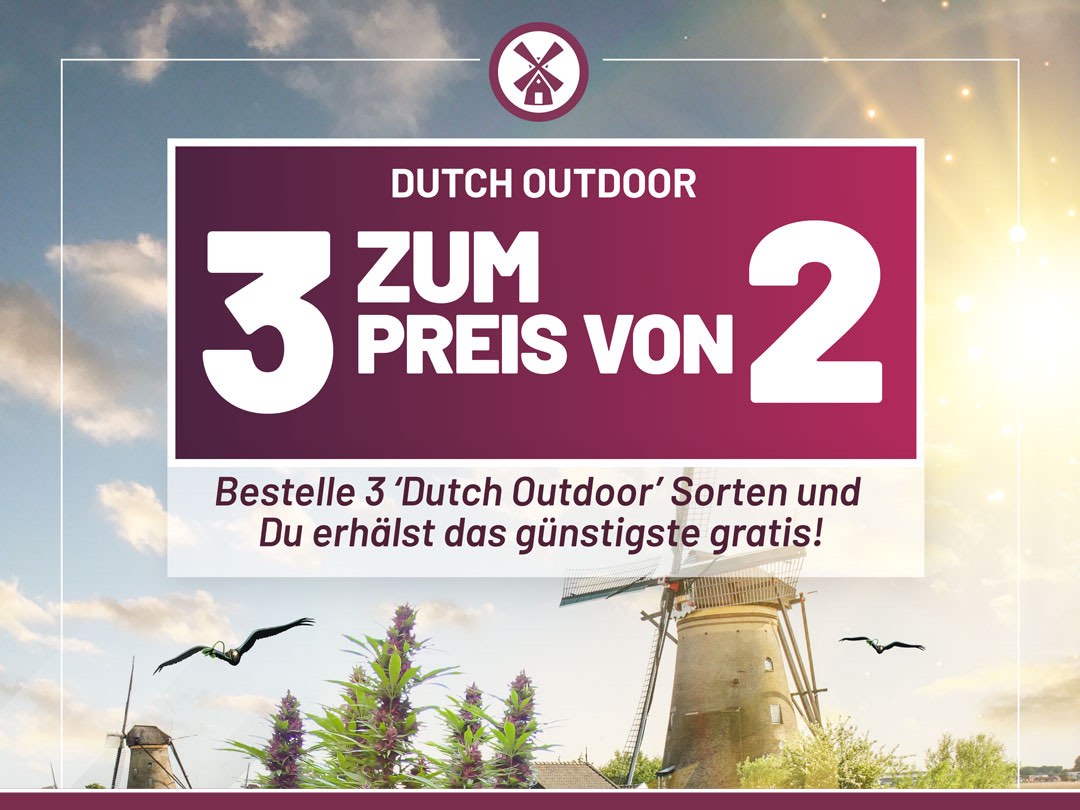 Bestelle 3 ‘Dutch Outdoor’ Sorten und Du erhälst das günstigste gratis!