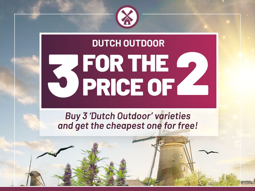 Buy 3 ‘Dutch Outdoor’ varieties, and get the cheapest one for free!