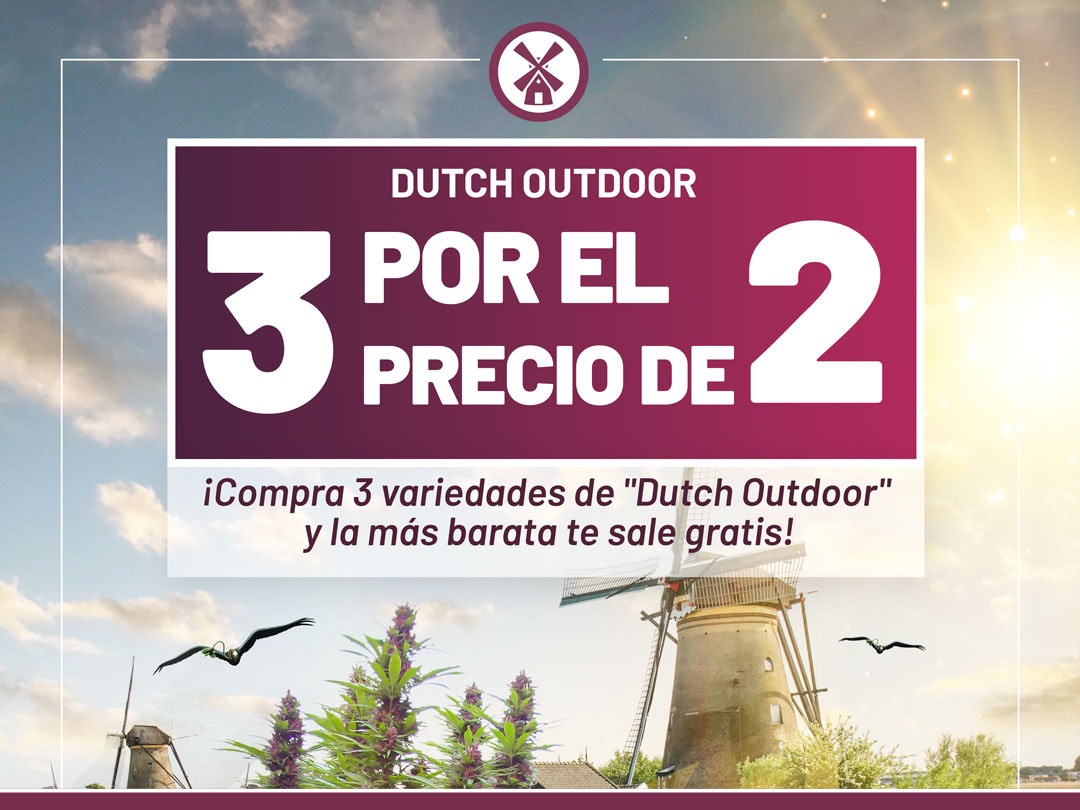 ¡Compra 3 variedades de "Dutch Outdoor" y la más barata te sale gratis!