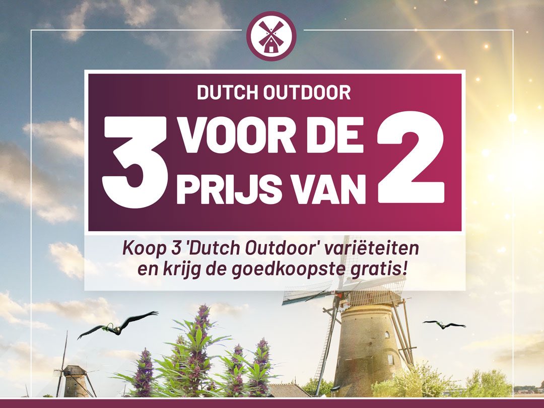 Koop 3 'Dutch Outdoor' variëteiten en krijg de goedkoopste gratis!