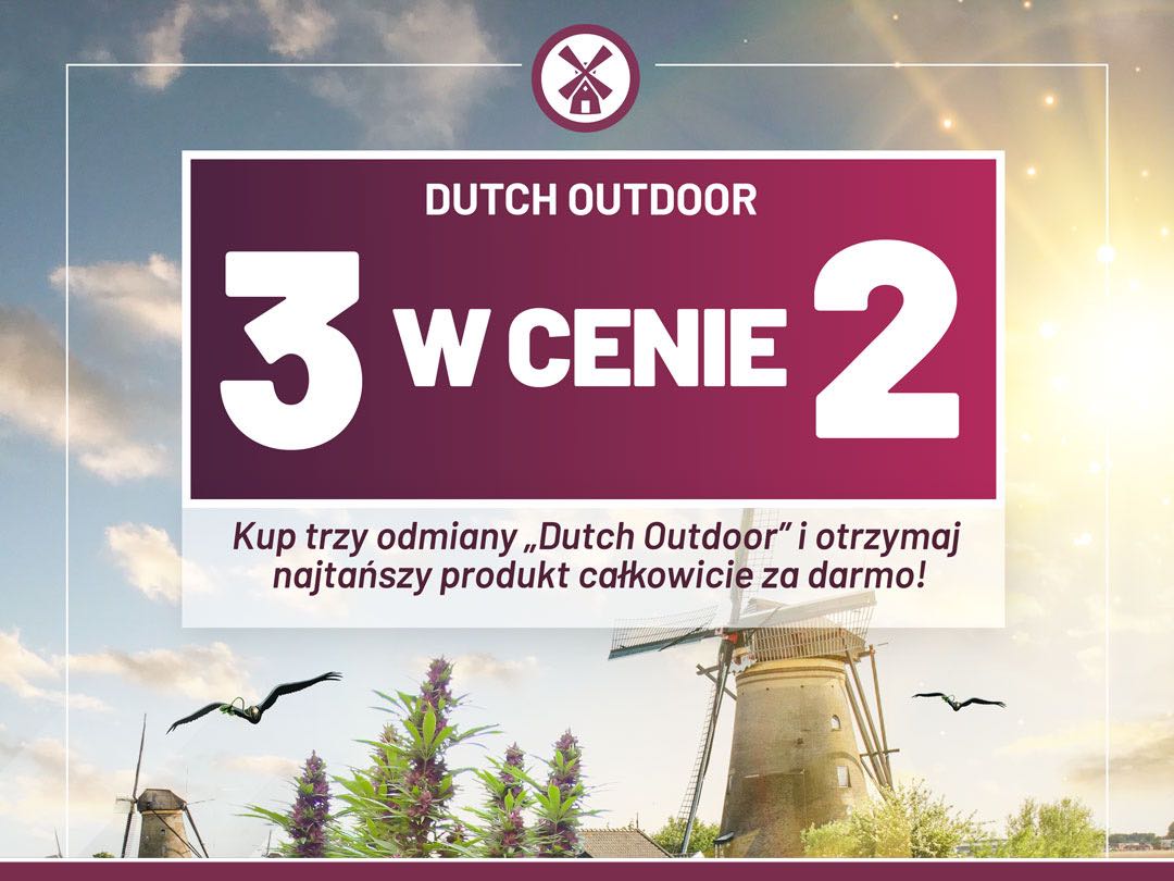 Kup trzy odmiany „Dutch Outdoor” i otrzymaj najtańszy produkt całkowicie za darmo!