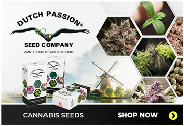 Dutch Passion standard web banners