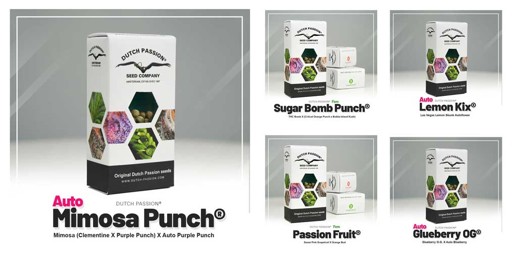 Dutch Passion new packaging pictures
