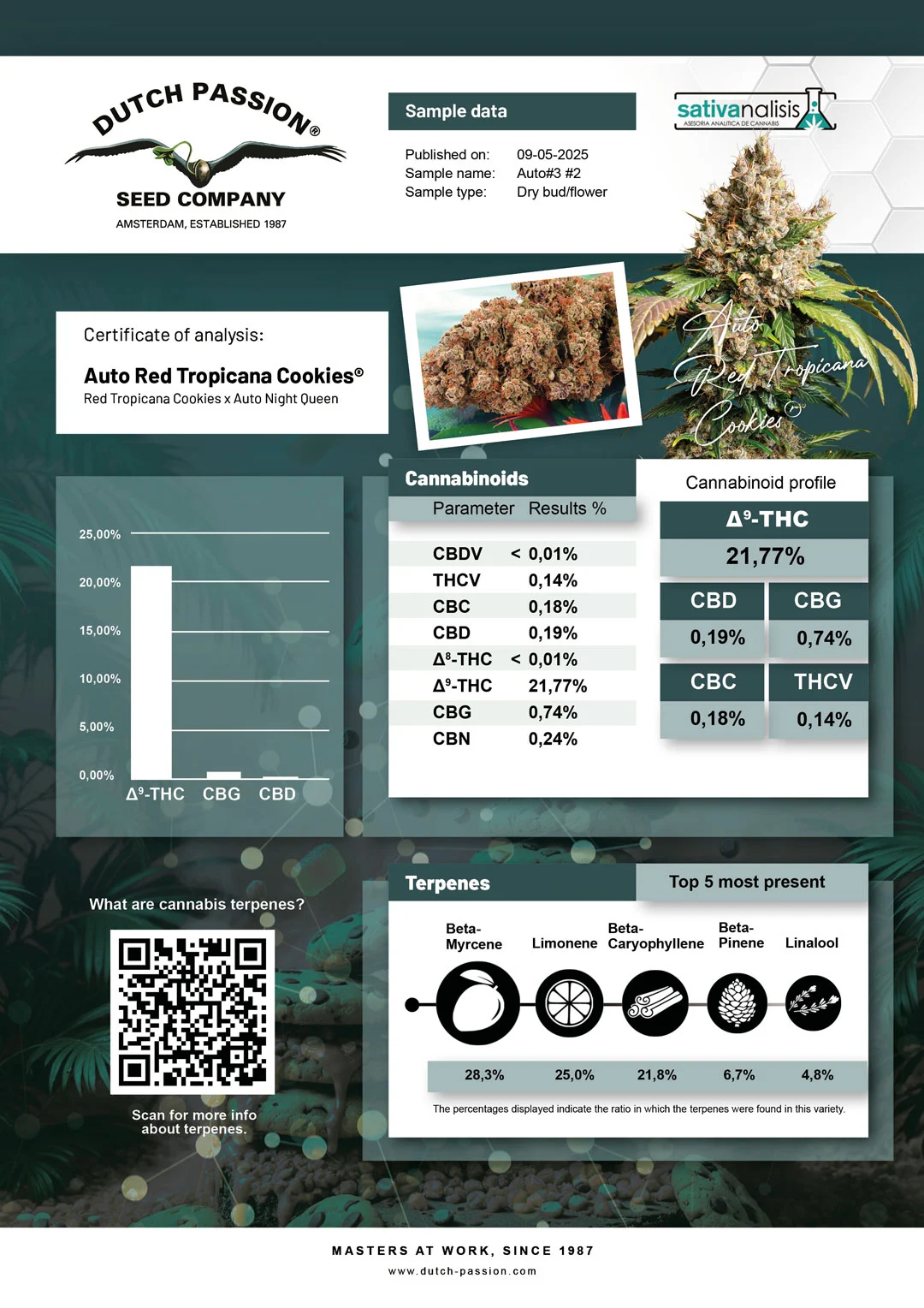 Auto Red Tropicana Cookies lab-test analysis