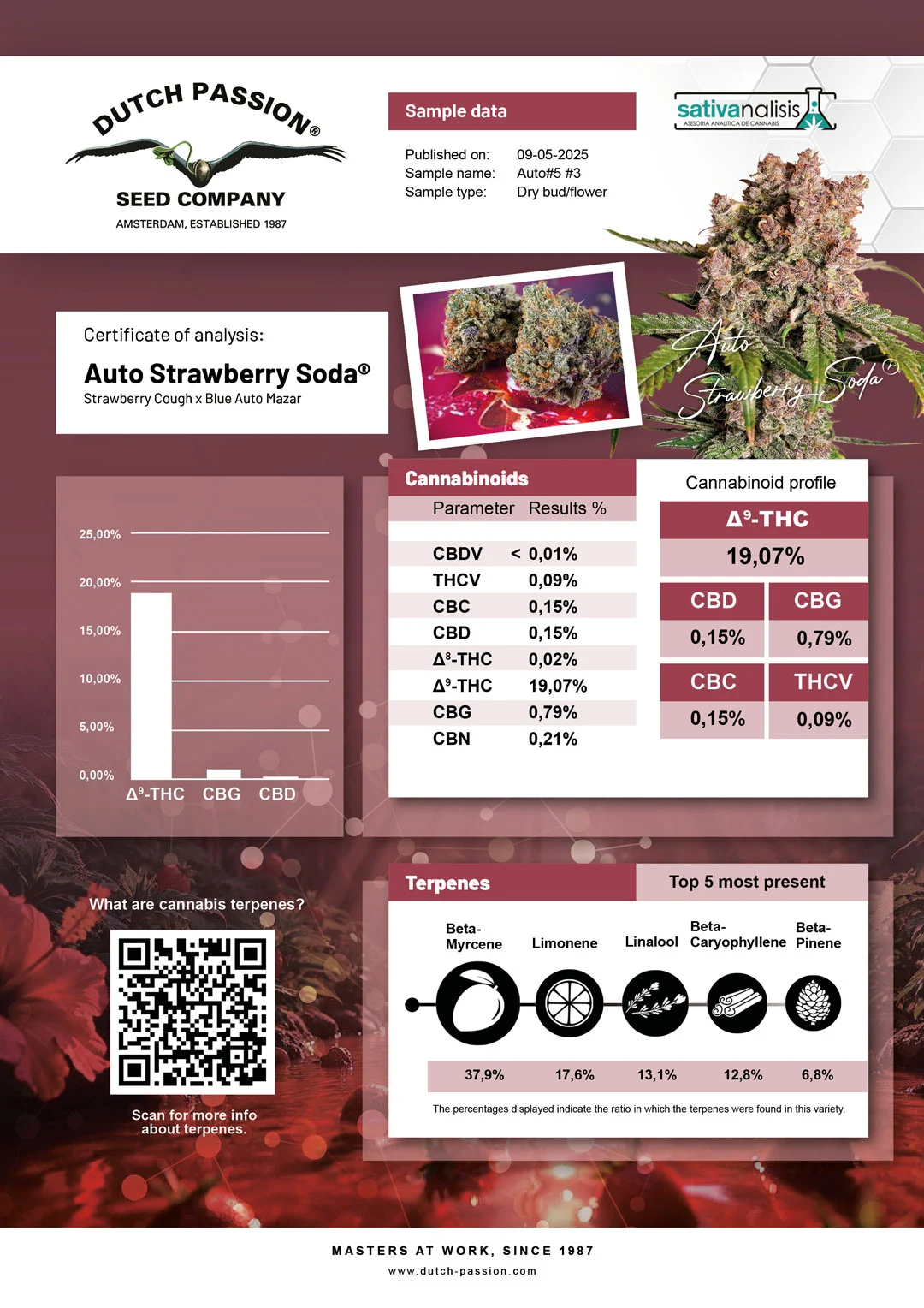 Auto Strawberry Soda lab-test analysis