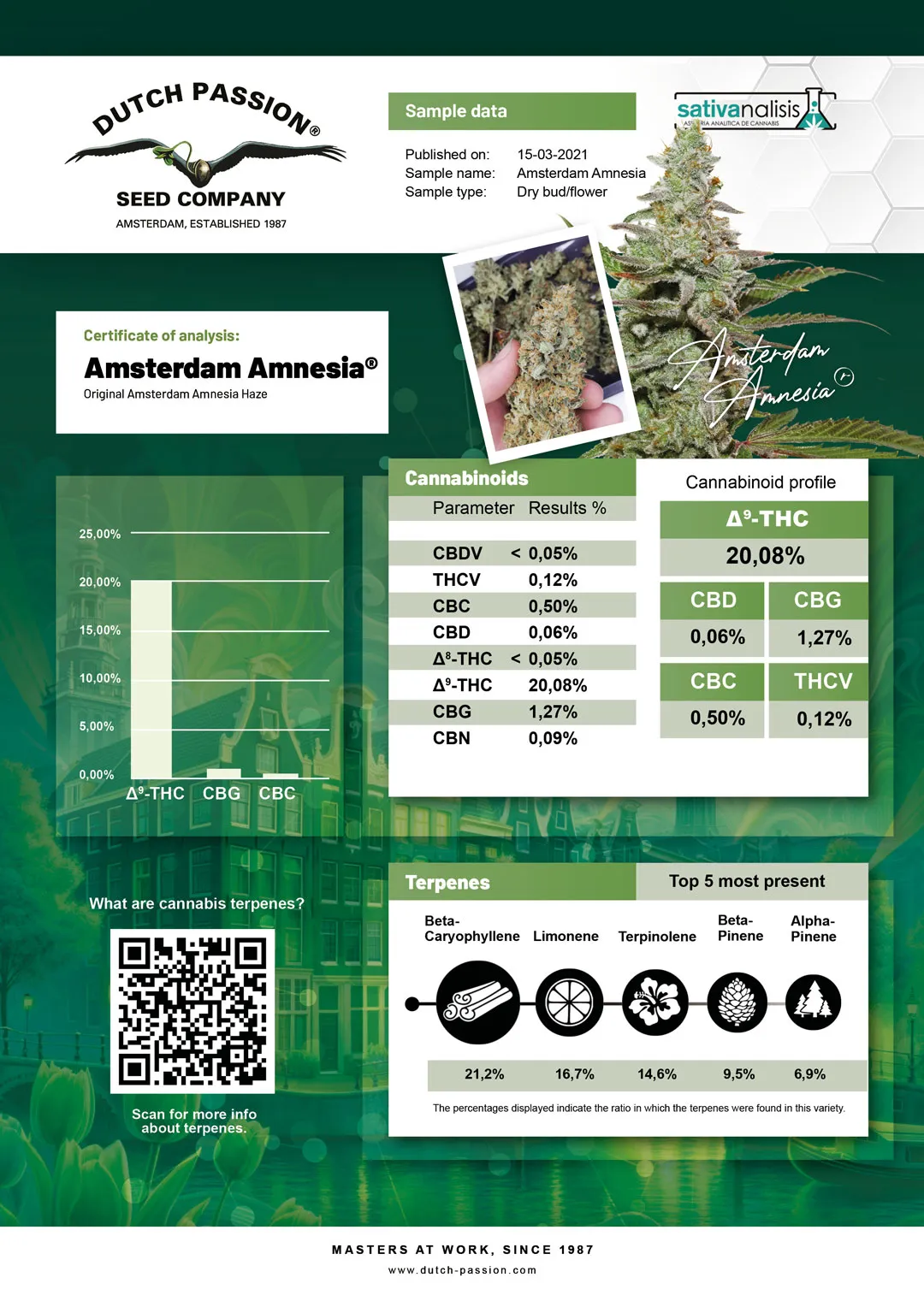 Amsterdam Amnesia independent lab-test analysis