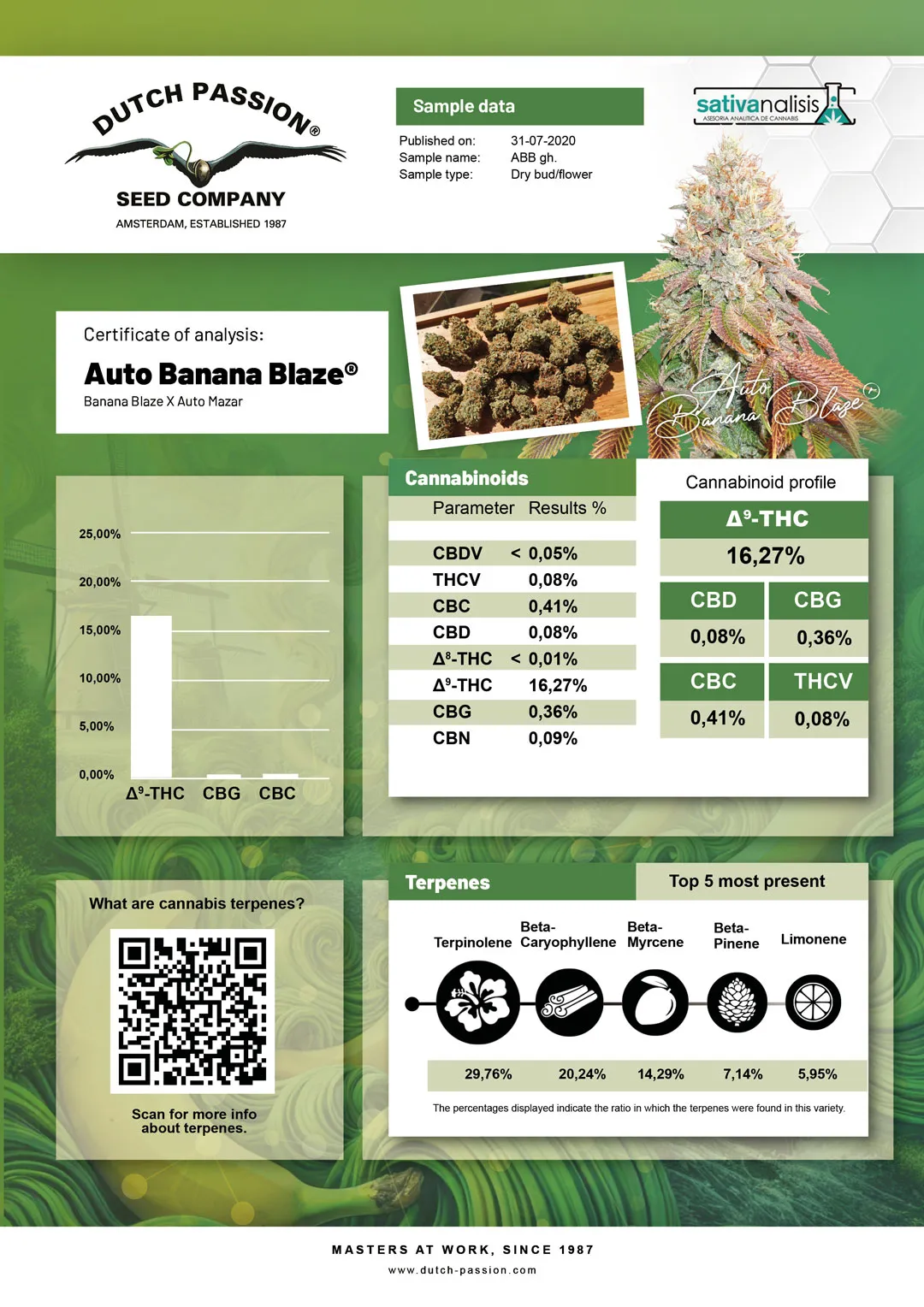 Auto Banana Blaze independent lab-test analysis