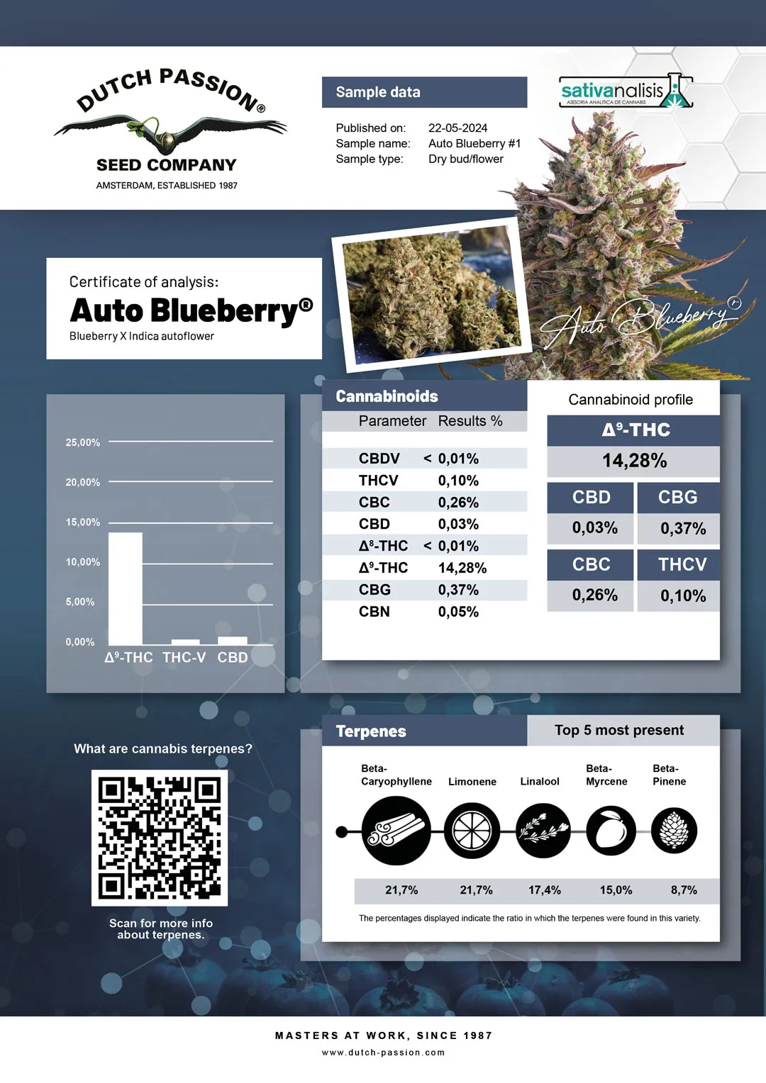 Auto Blueberry independent lab-test analysis