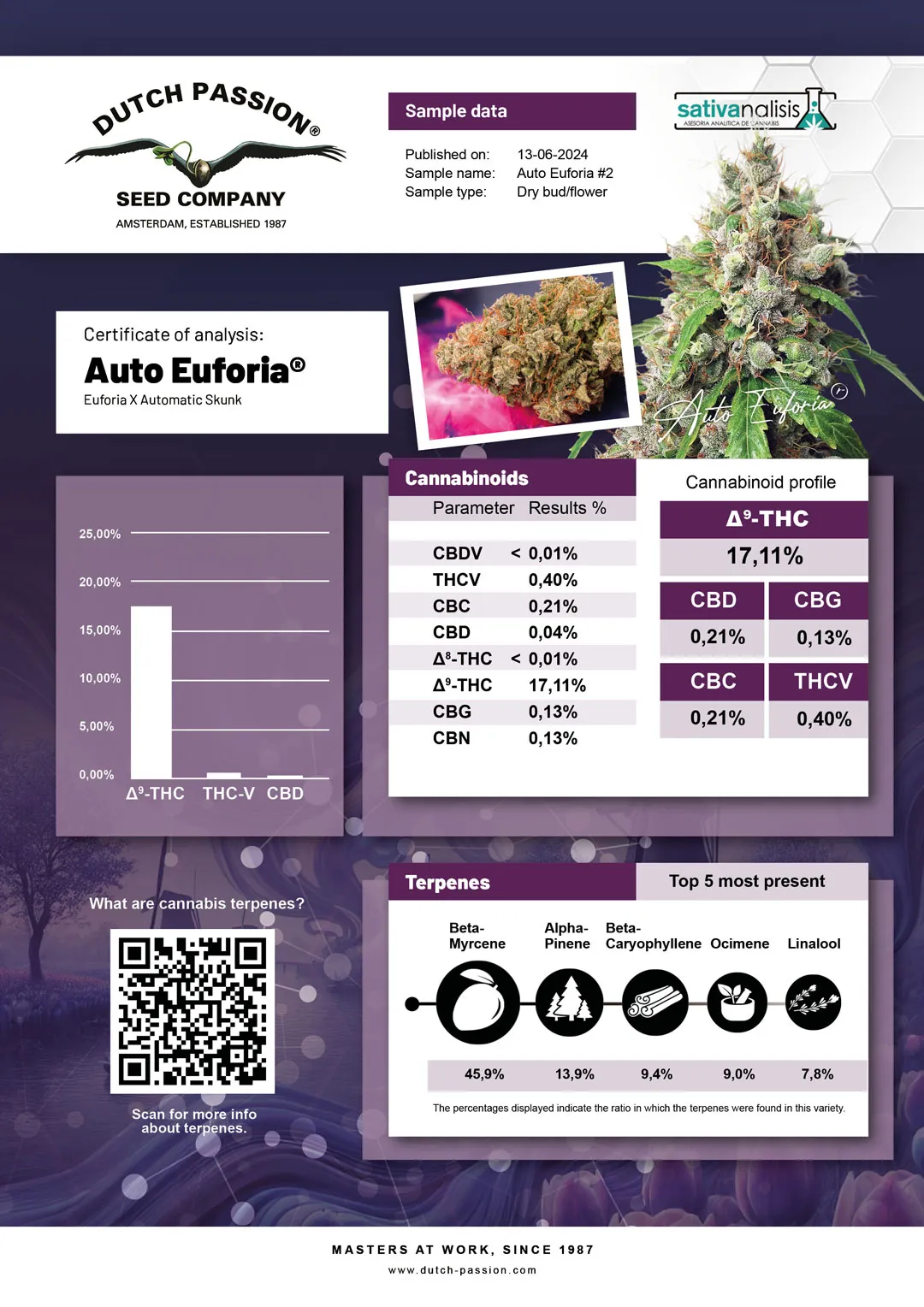 Auto Euforia independent lab-test analysis