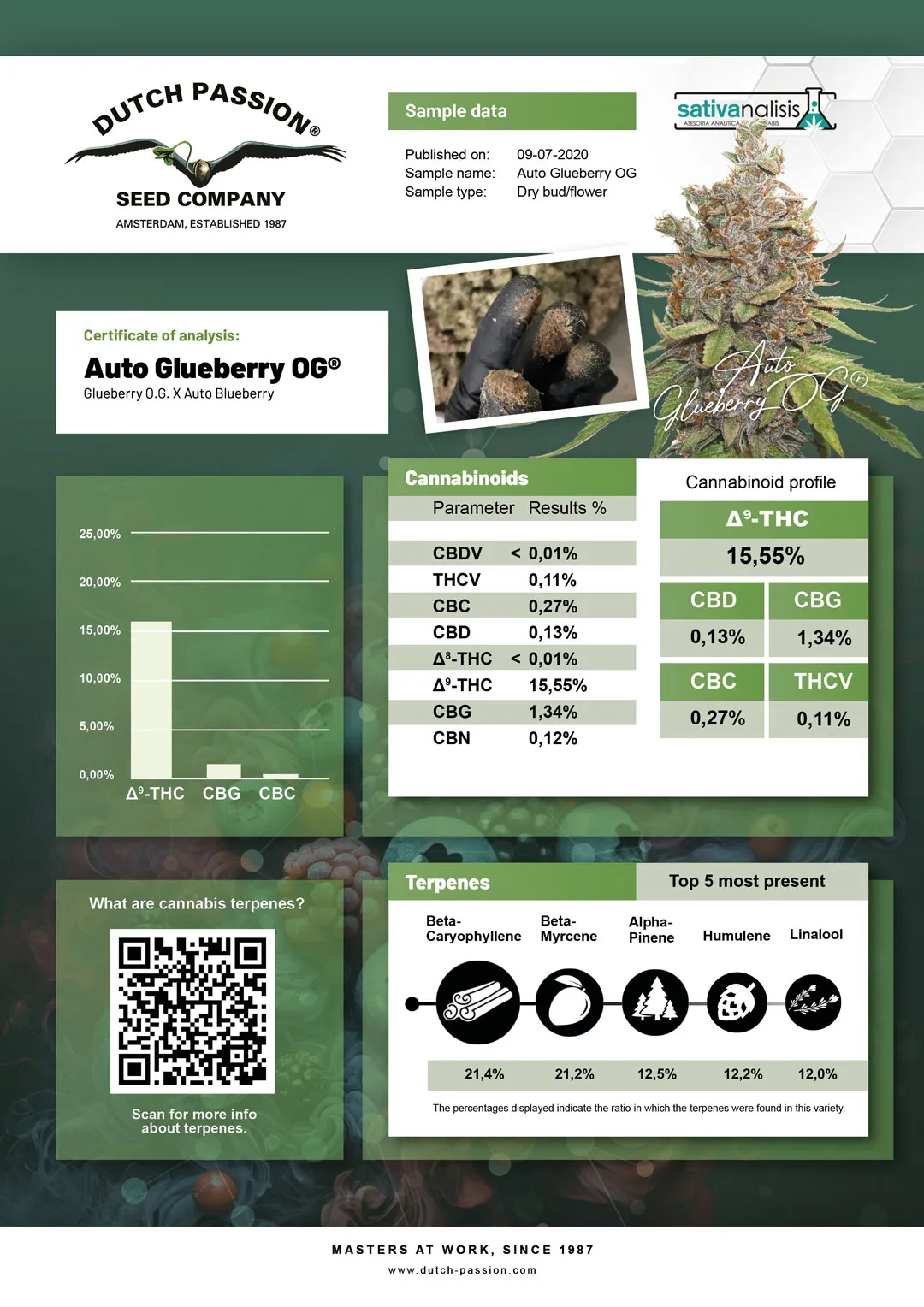 Auto Glueberry OG independent lab-test analysis