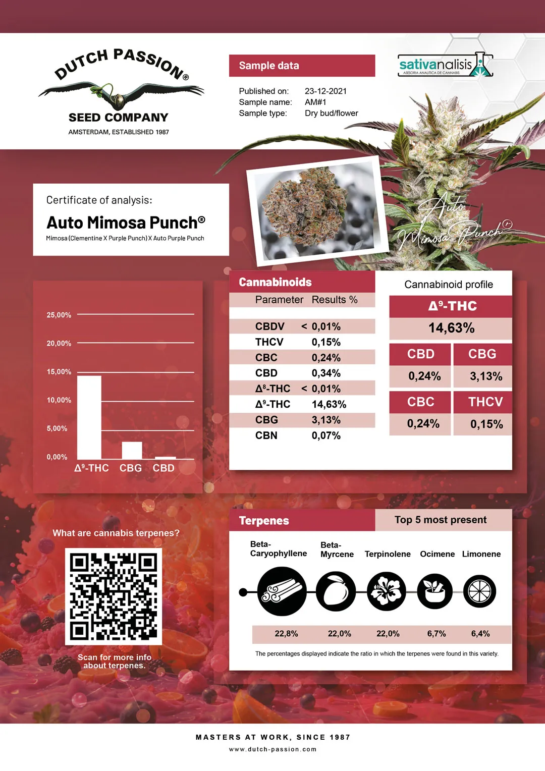 Auto Mimosa Punch independent lab-test analysis