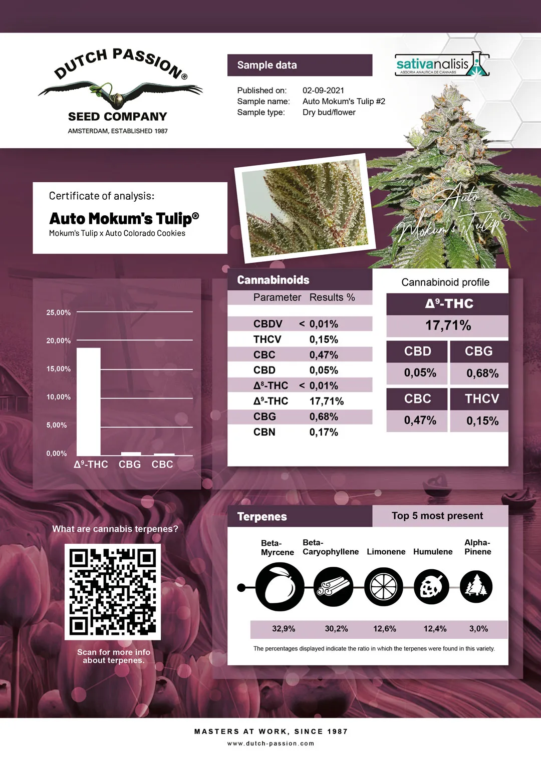 Auto Mokum's Tulip independent lab-test analysis