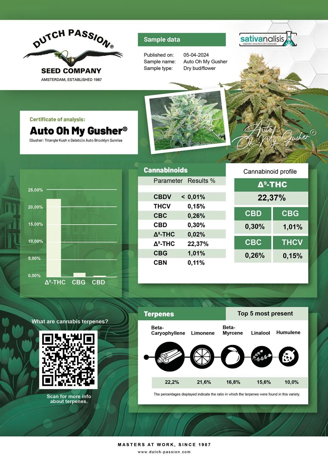 Auto Oh My Gusher independent lab-test analysis