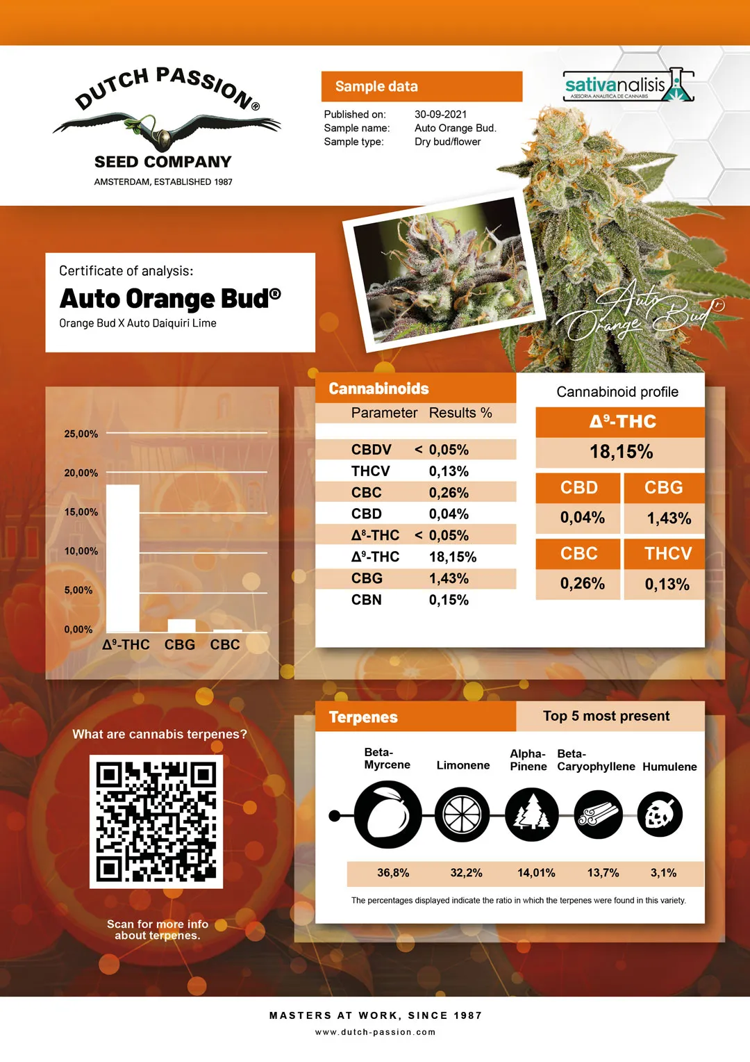 Auto Orange Bud independent lab-test analysis