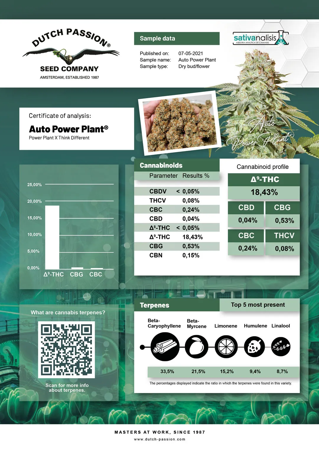 Auto Power Plant independent lab-test analysis