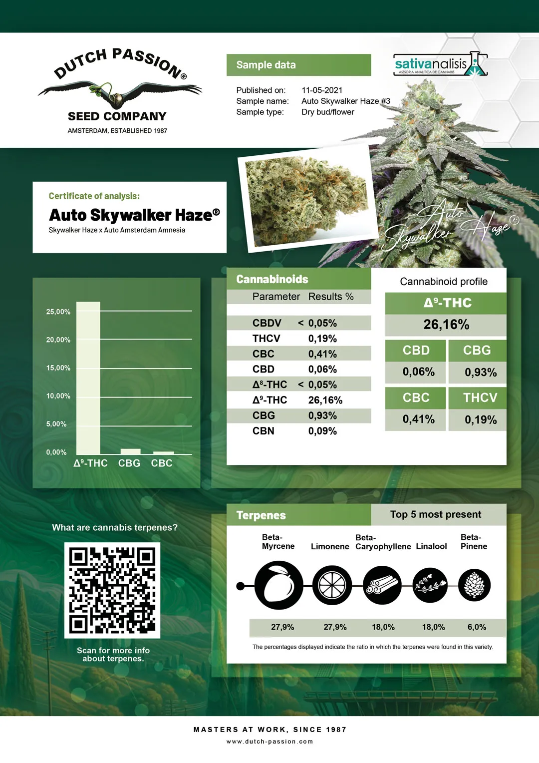 Auto Skywalker Haze independent lab-test analysis