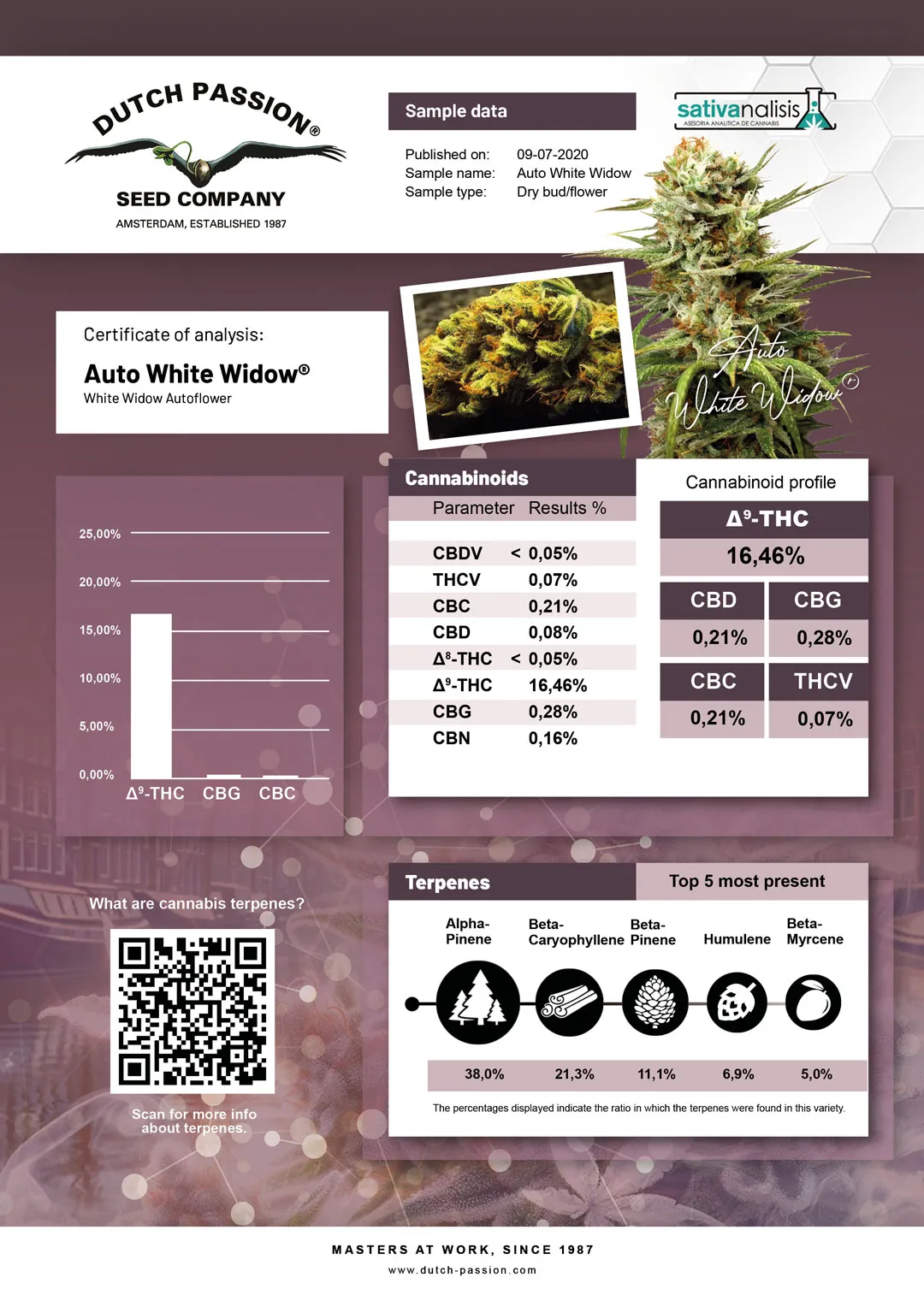 Auto White Widow independent lab-test analysis