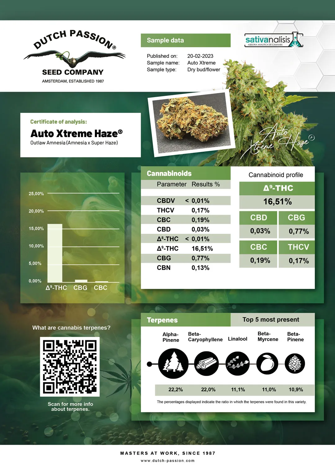 Auto Xtreme Haze independent lab-test analysis