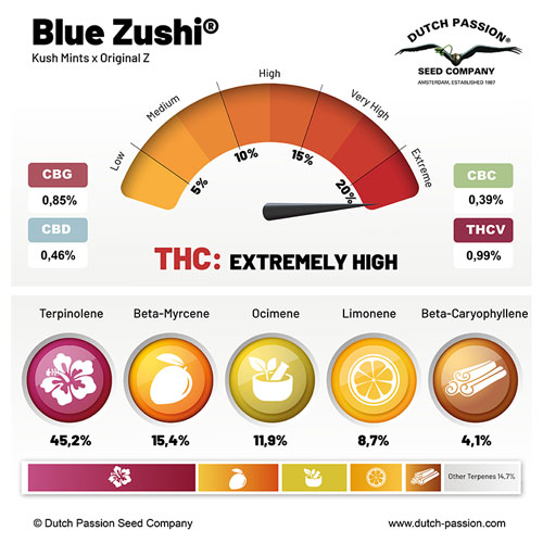 Blue Zushi cannabinoids and terpenes