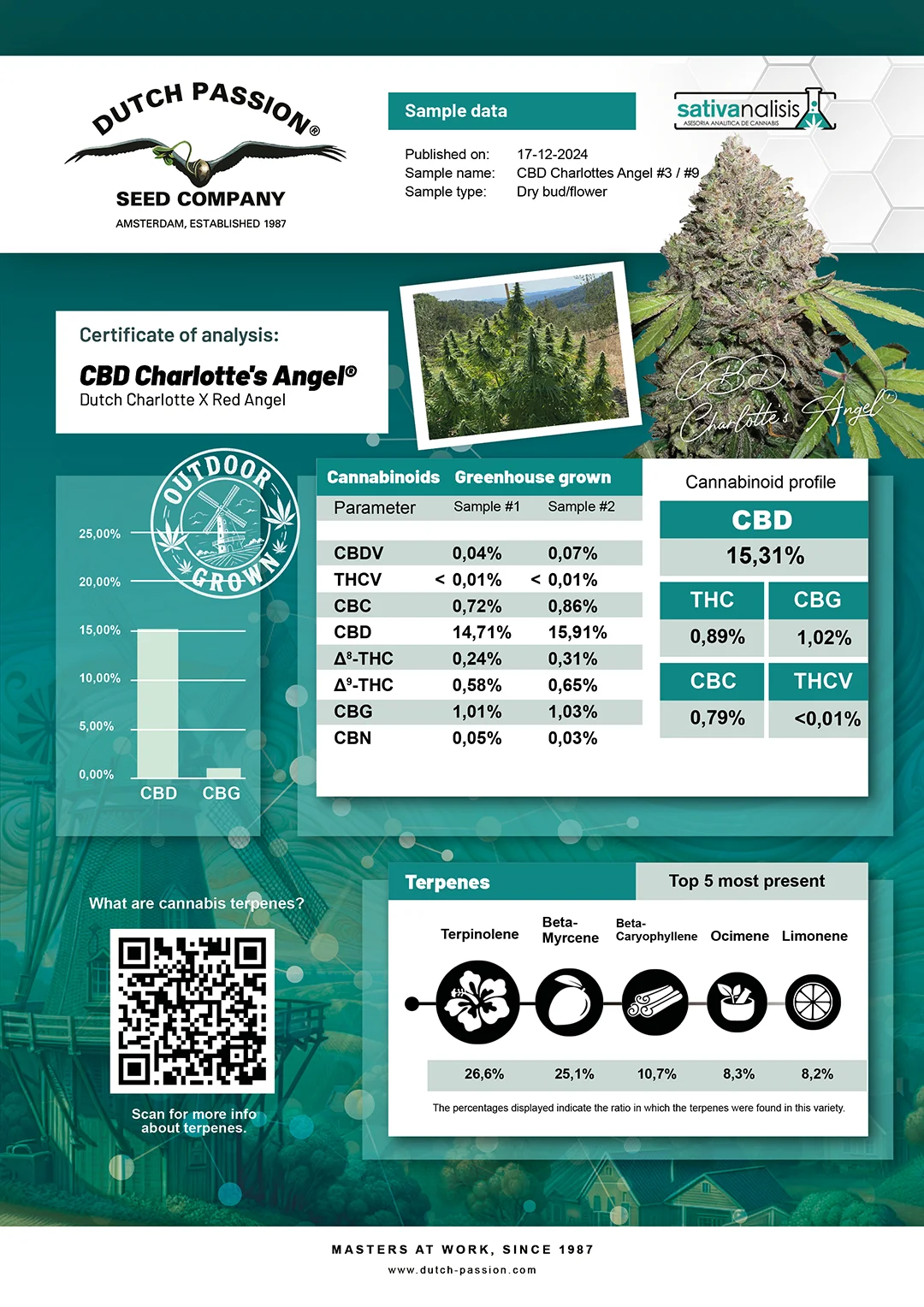 CBD Charlotte's Angel independent lab-test analysis results