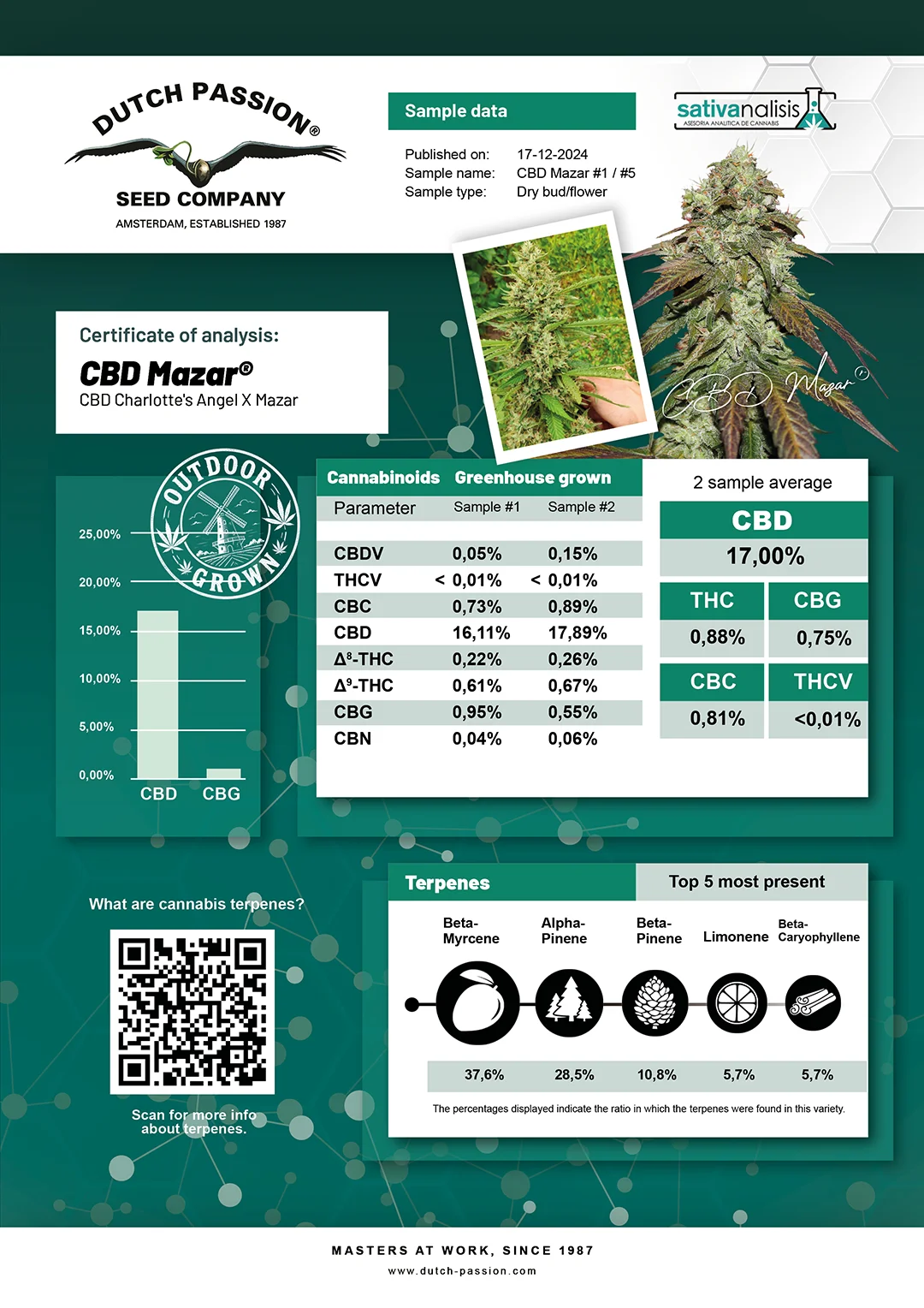 CBD Mazar independent lab-test analysis
