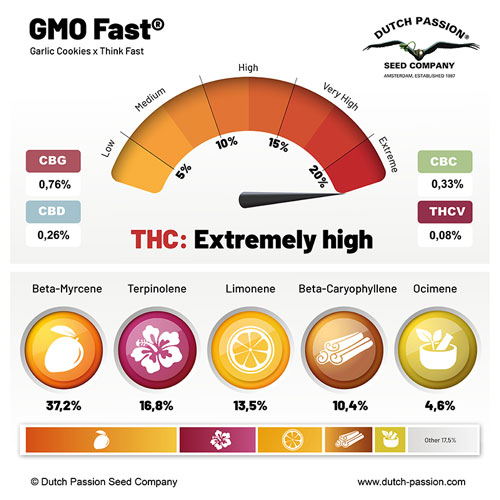 GMO Fast cannabinoids and terpenes