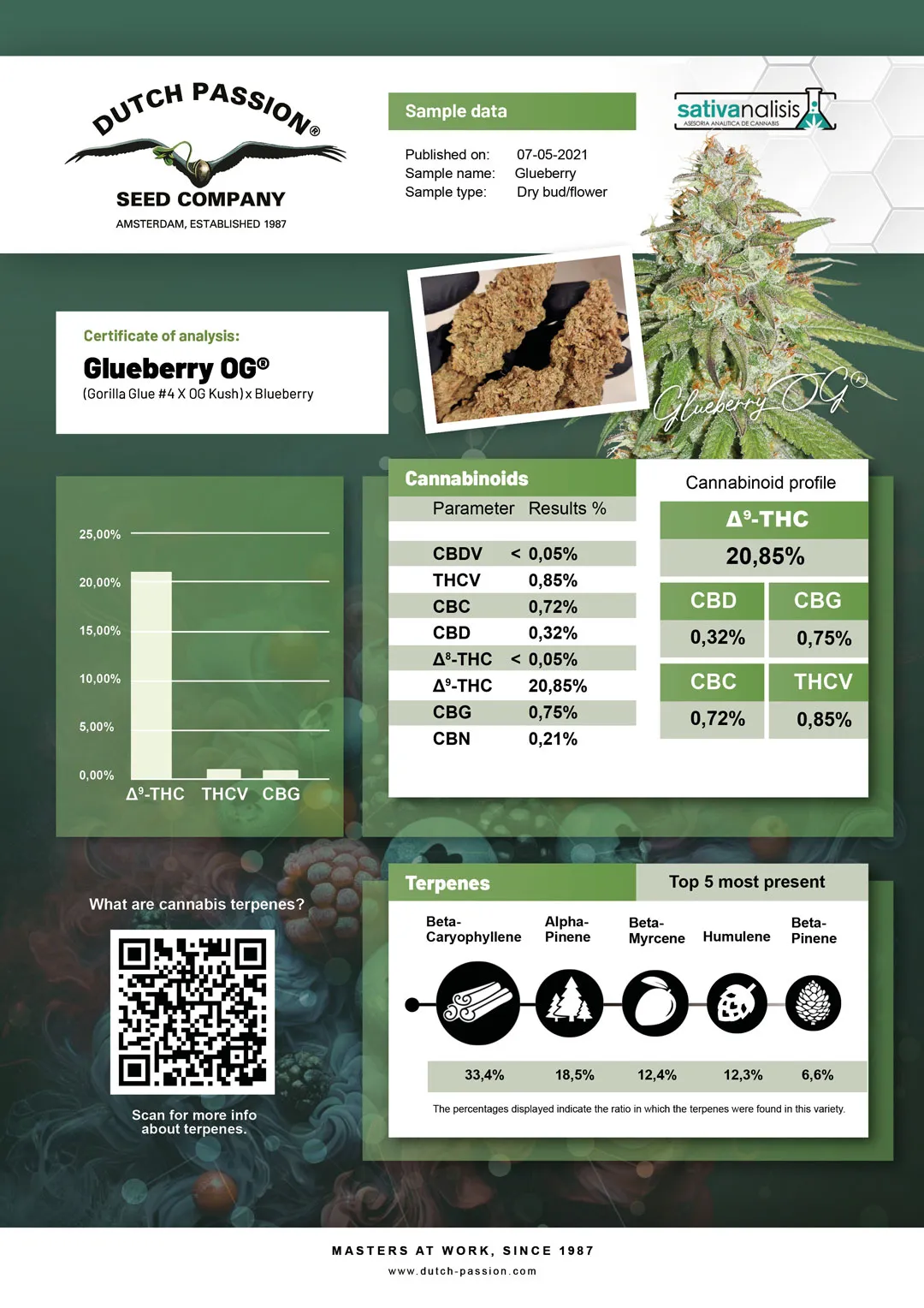 Glueberry OG independent lab-test analysis
