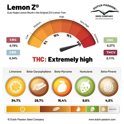 Lemon Z cannabinoids and terpenes