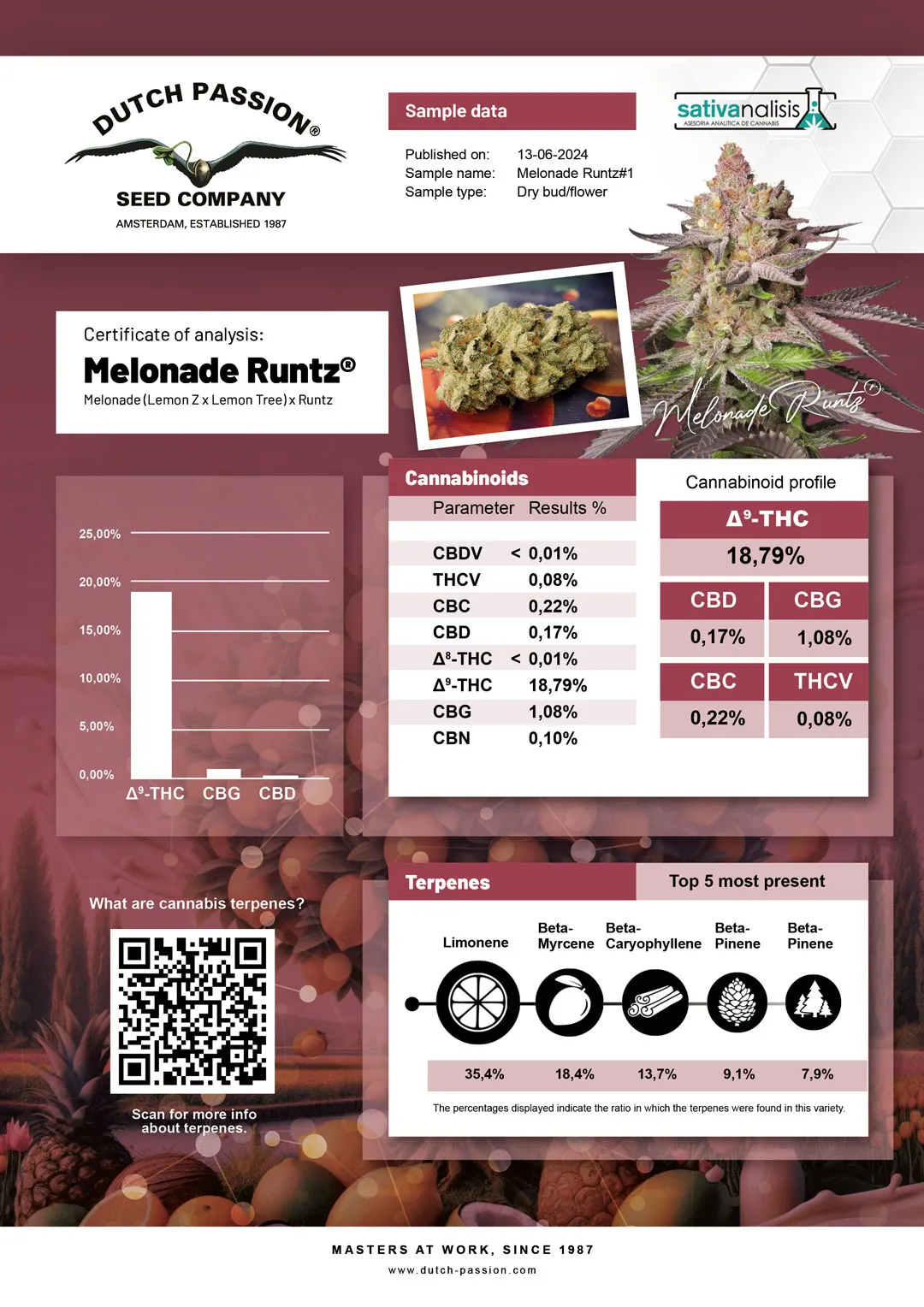 Melonade Runtz independent lab-test analysis