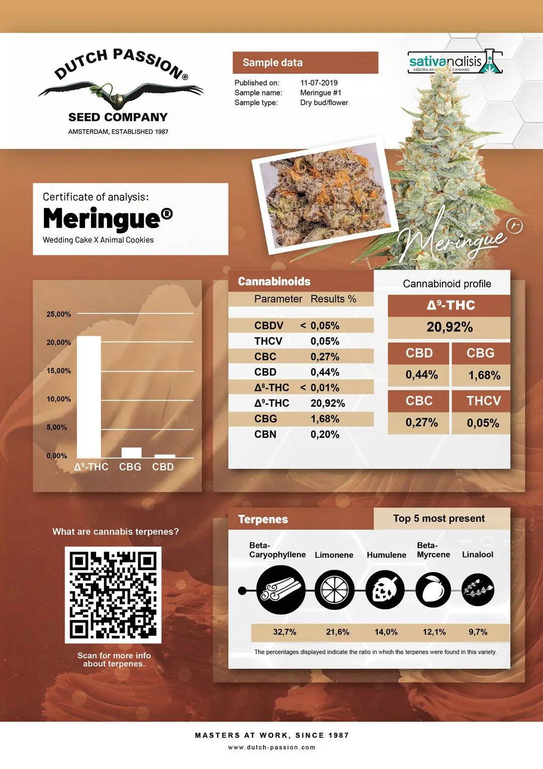 Meringue independent lab-test analysis