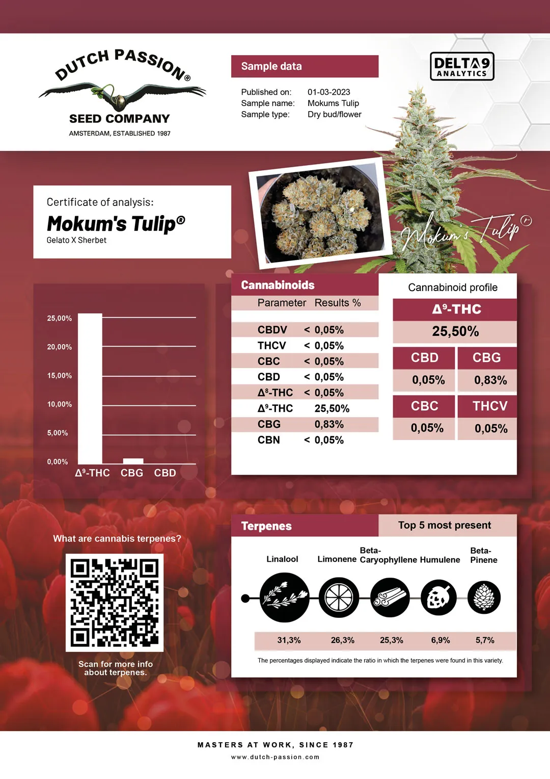 Mokum's Tulip independent lab-test analysis