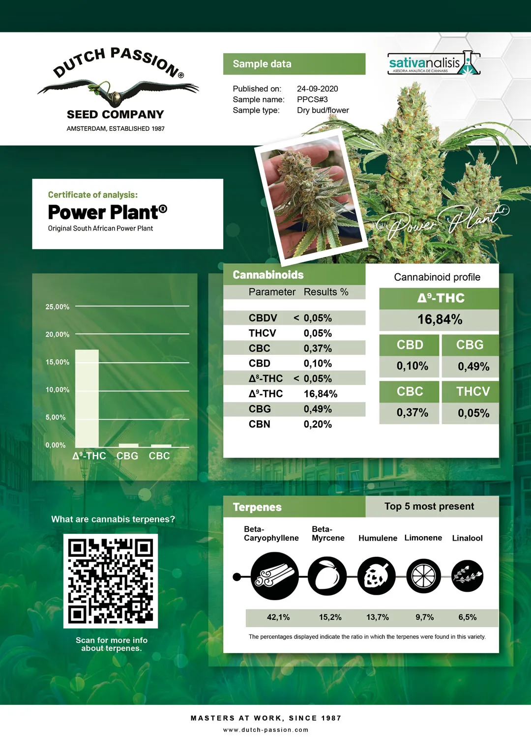 Power Plant independent lab-test analysis