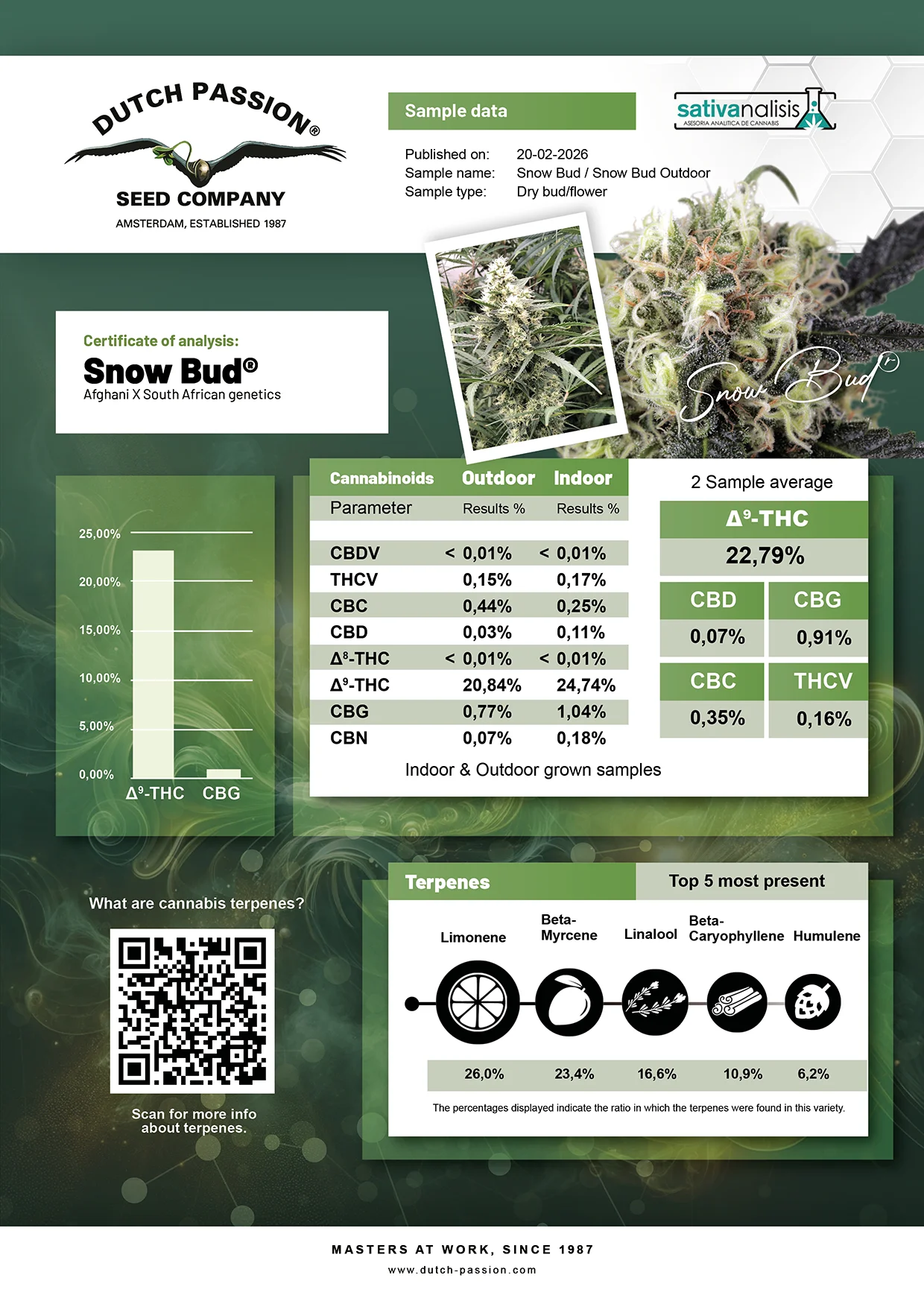 Snow Bud independent lab-test analysis results