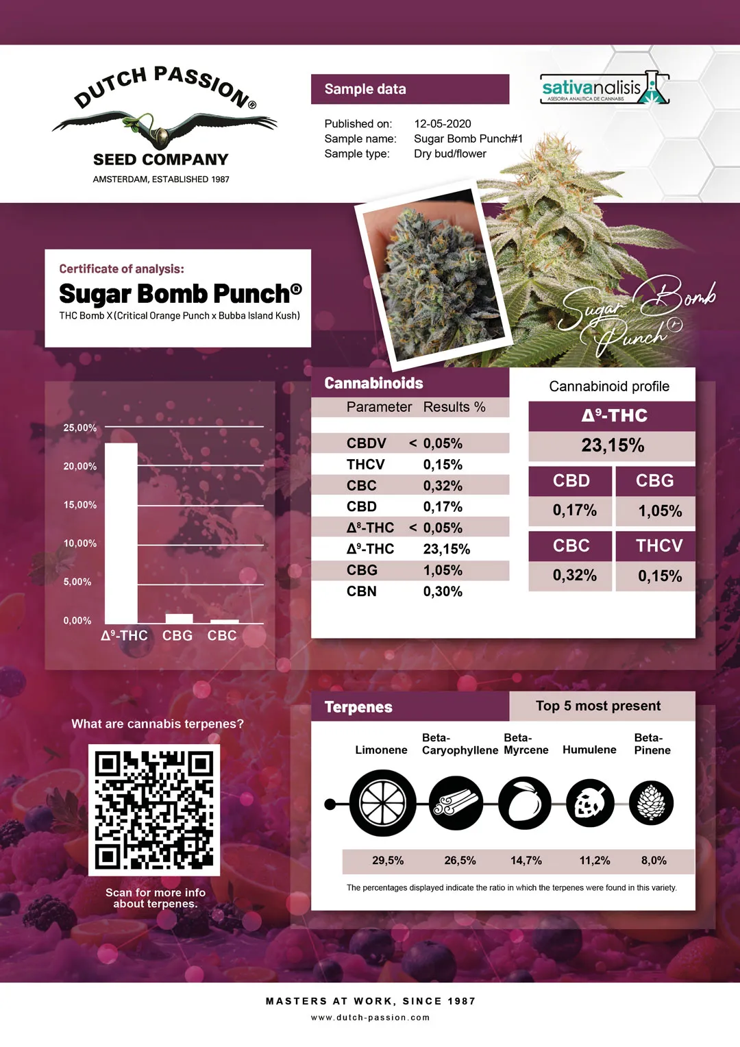 Sugar Bomb Punch independent lab-test analysis