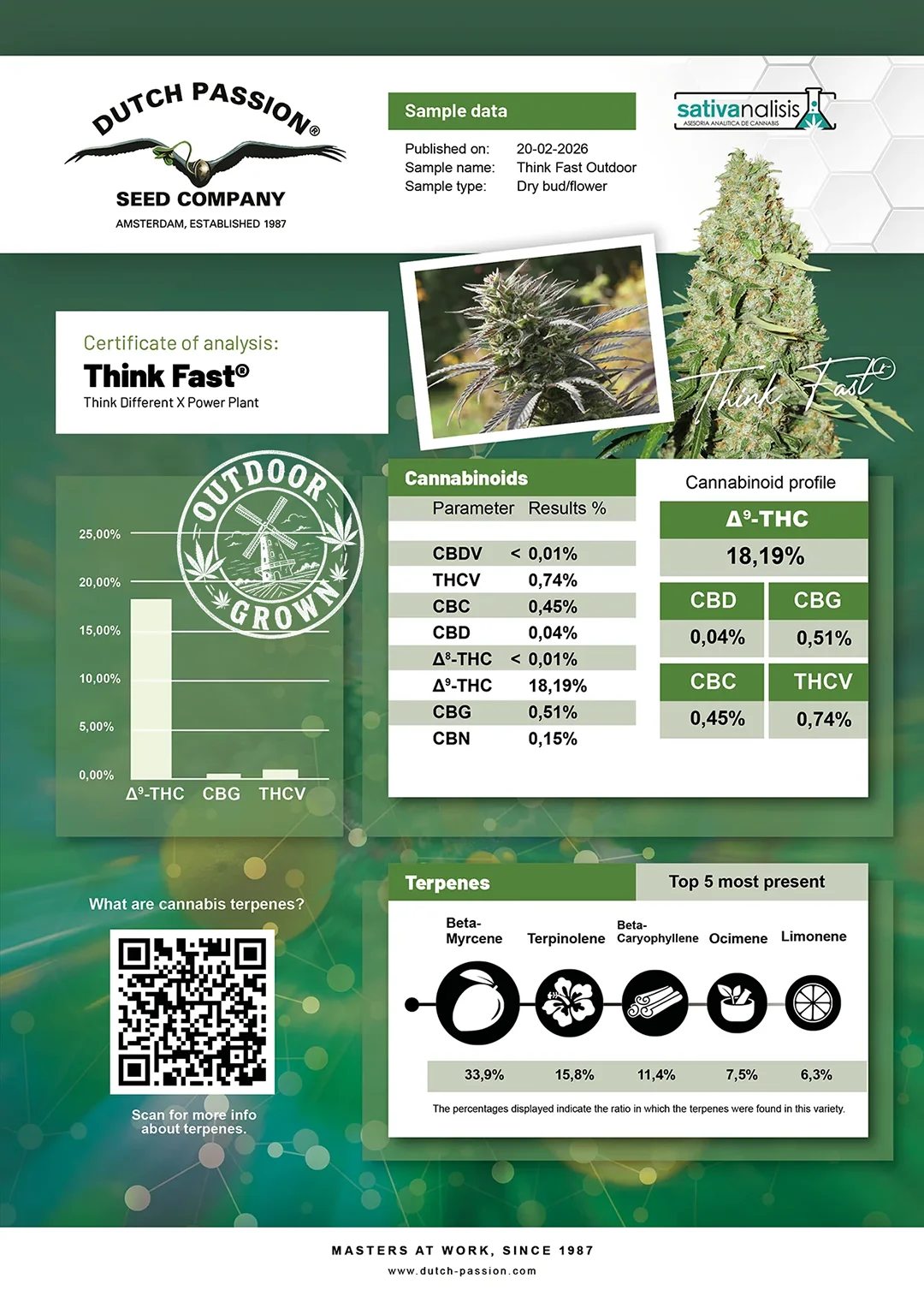 Think Fast independent lab-test analysis results