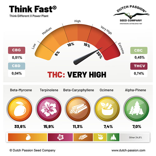 Think Fast terpenes and cannabinoids