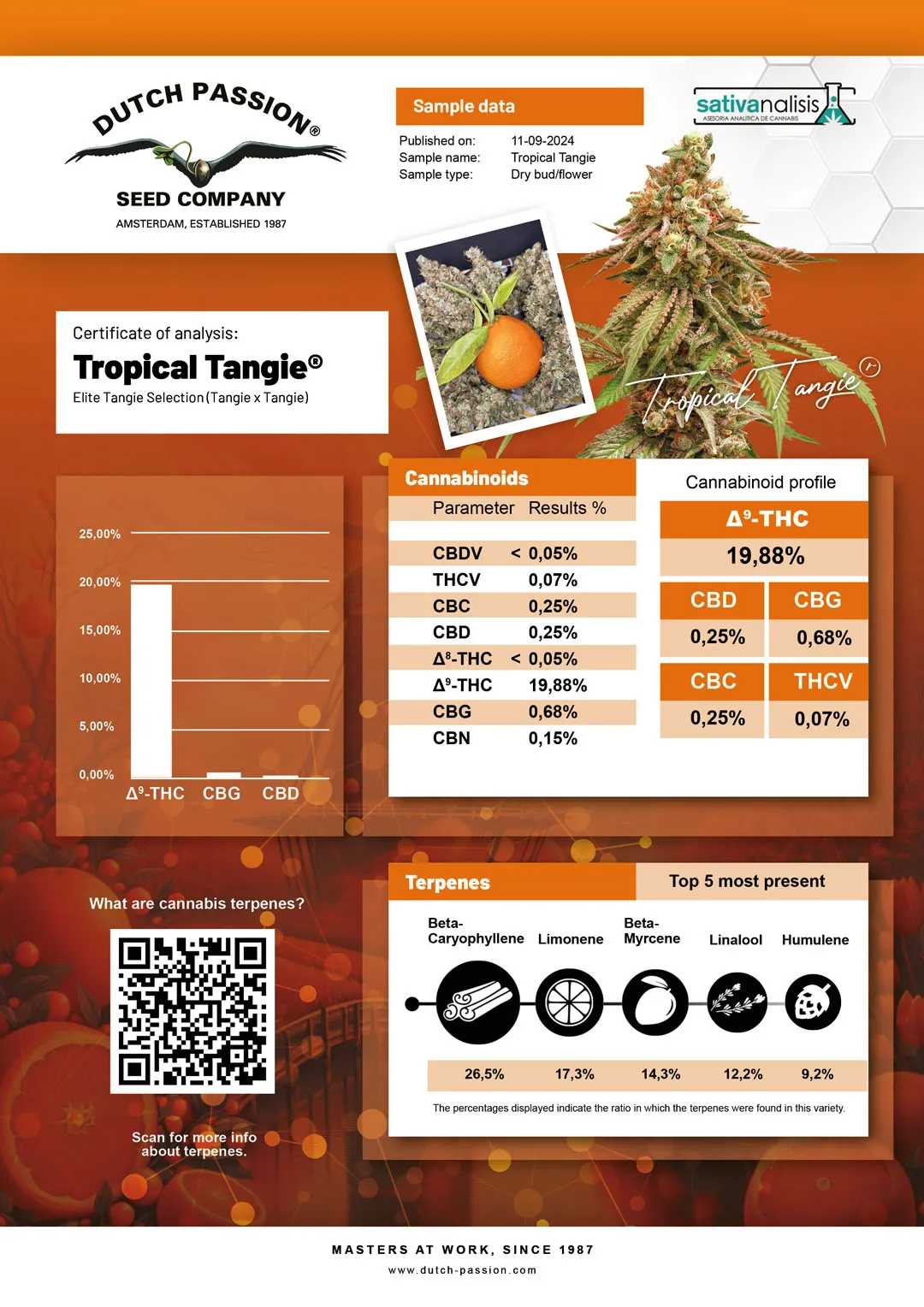 Tropical Tangie independent lab-test analysis