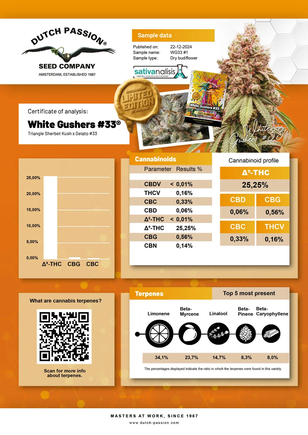 White Gushers #33 independent lab-test analysis
