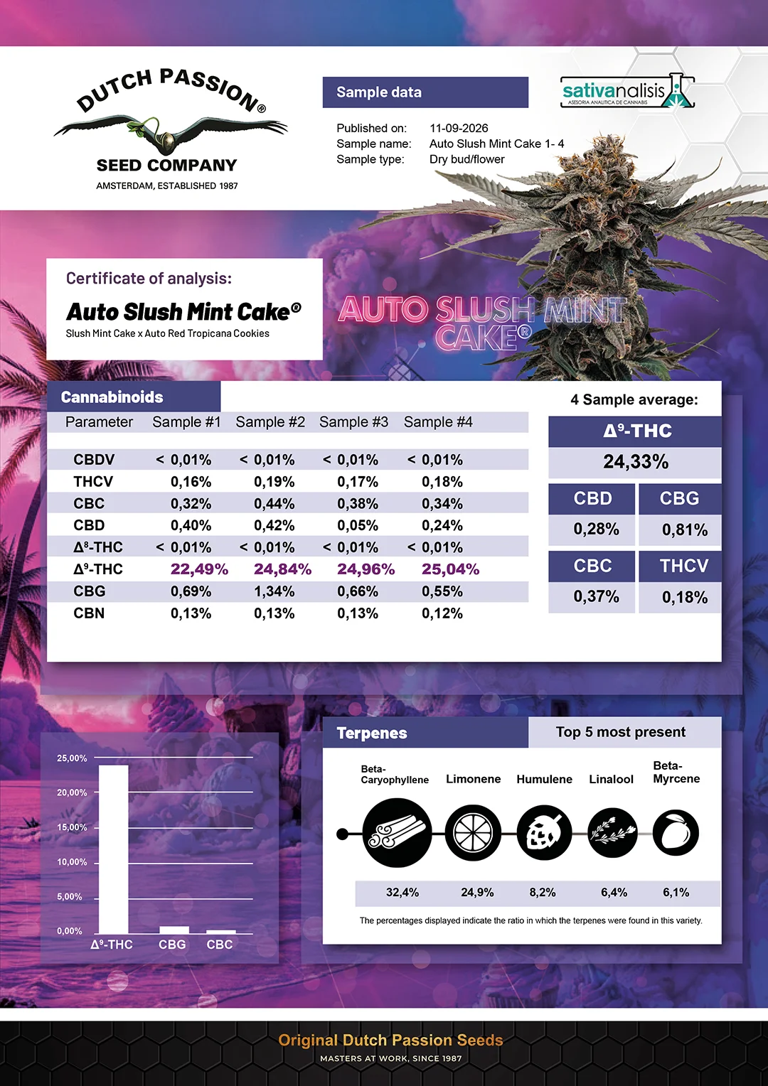 Auto Slush Mint Cake independent lab-test analysis