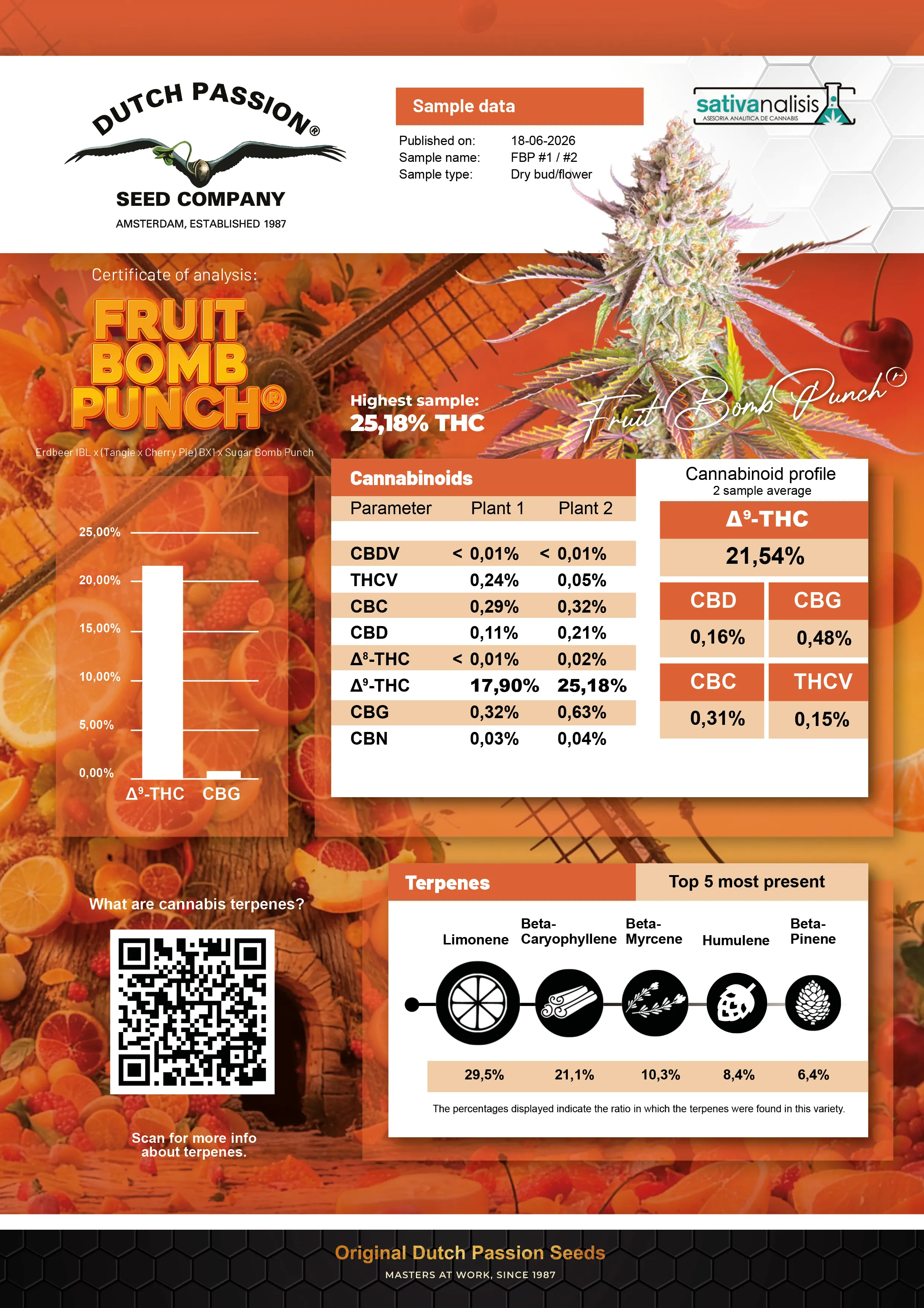 Fruit Bomb Punch lab-test analysis