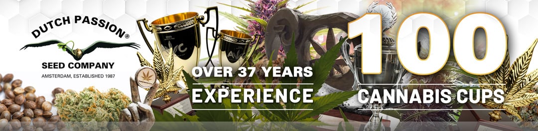 Over 37 years of experience, 100 cannabis cups