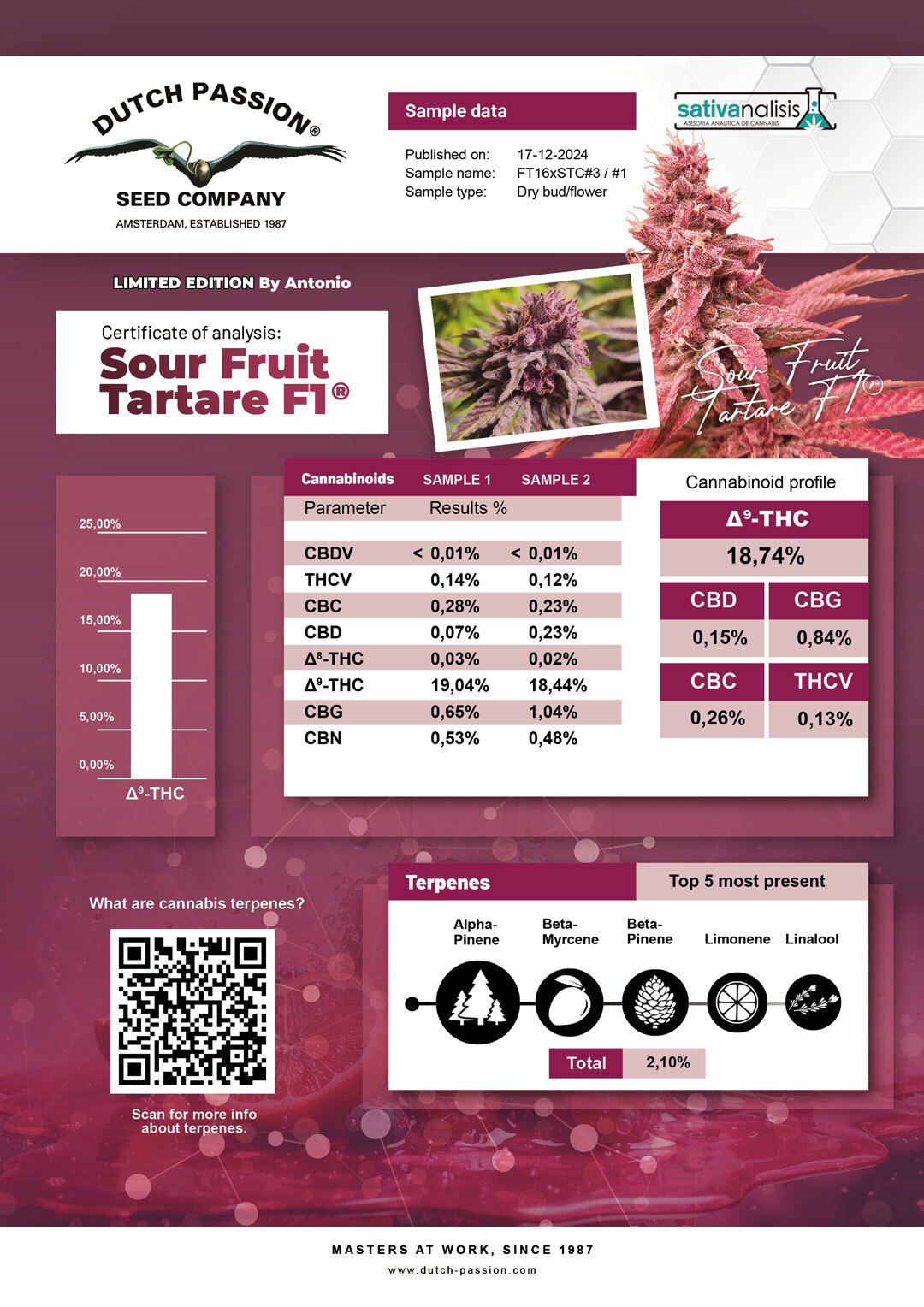 Sour Fruit Tartare F1 cannabinoid and terpene lab-test analysis