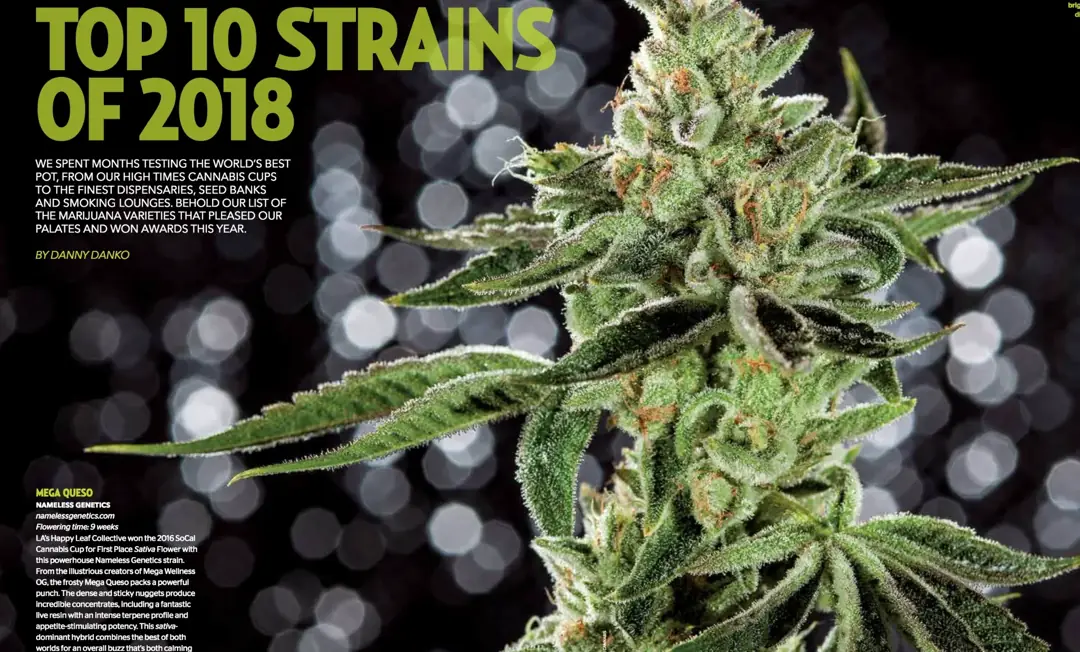 High Times Top 10 strains