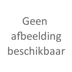 Dutch Passion