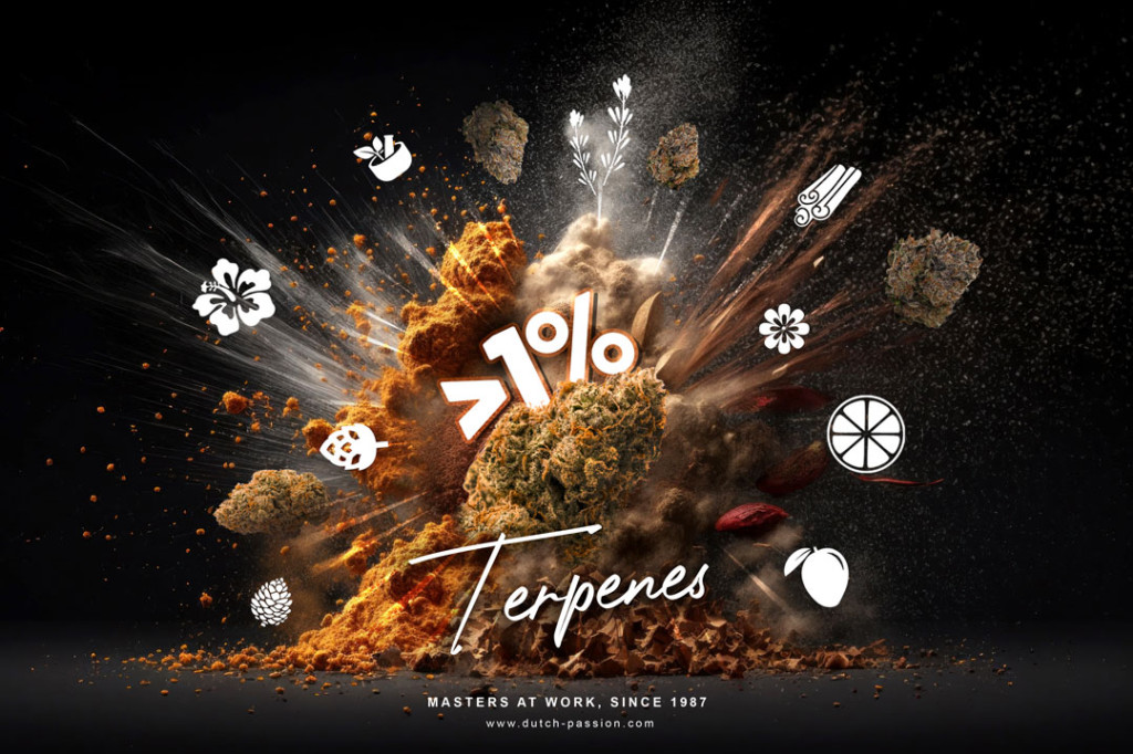 Understanding independent lab-test analysis for terpenes